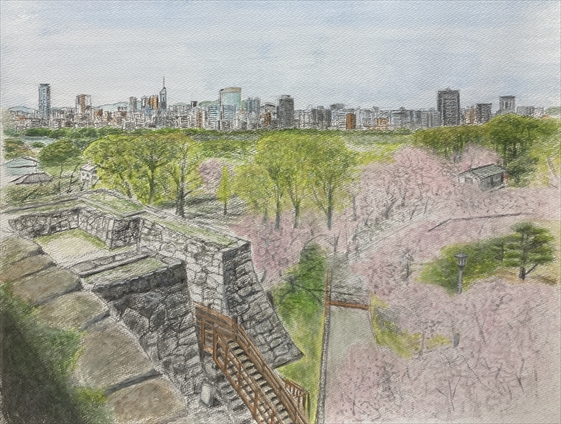 福岡城本丸址・春光の石垣—満開桜と福岡タワーを望むF10水彩画