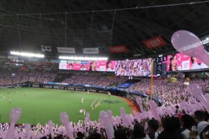 5月10日　ピンクフルデー最終日